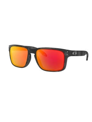 Oakley Holbrook oo9102-E9